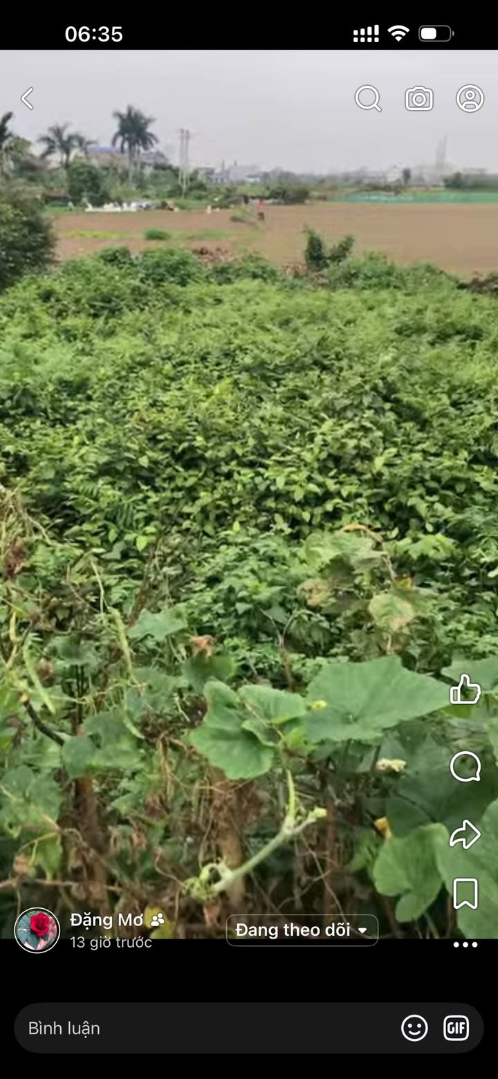 Đất Vàng Nam Hồng, Nam Trực: 160m² Mặt Tiền Rộng 10m, Sổ Đỏ Chính Chủ, Giá 3 Tỷ