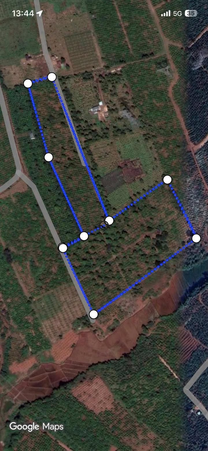 Đất vườn Ia Dêr 3.8ha - Nông trại cà phê, điện nước sẵn sàng!