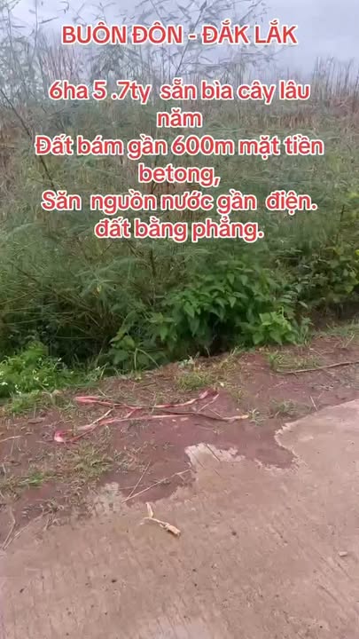 Đất nền Buôn Đôn Đắk Lắk 6ha 5.7 tỷ - Sổ đỏ chính chủ