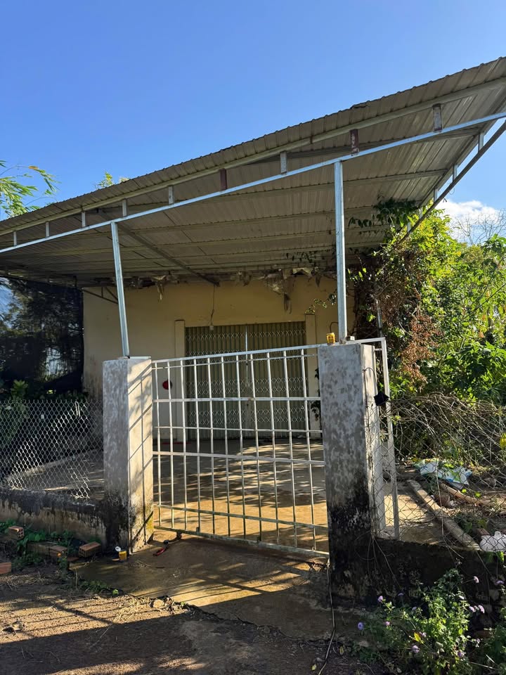 Đất Vàng Ia Hrú, Gia Lai 1718m² - 3 Mặt Tiền Đường, Có Nhà Cấp 4, Giá Tốt