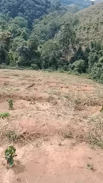 Bán đất rẫy 4ha Đắk Tô, Kon Tum - Sổ đỏ, có nhà, năng lượng mặt trời