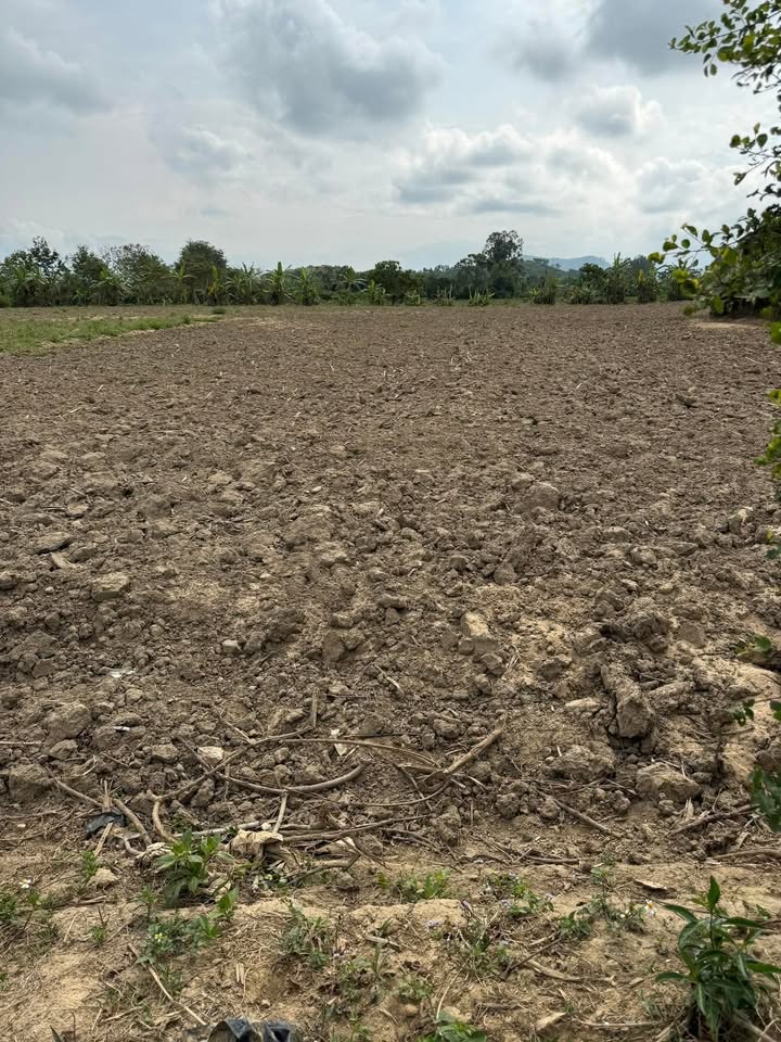 Bán đất 9 sào Hòa Lễ, Krông Bông - 110tr/sào, sổ đỏ chính chủ