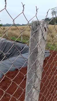 Đất Nông Nghiệp Đắk Nông 2.5ha – Vườn Cà Phê Tiêu Kinh Doanh, Giá 1.8 Tỷ