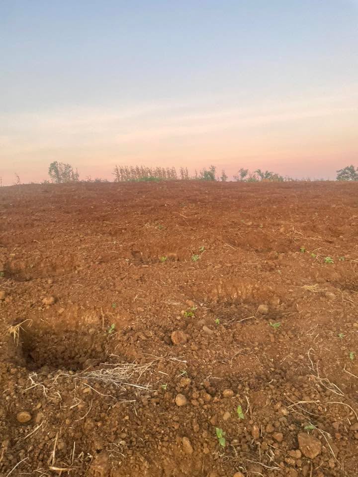 Bán đất Đắk Mil 3240m² mặt tiền nhựa - 1.5 tỷ