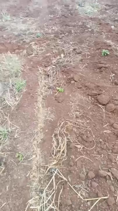 Đất nền Chư Pưh, Gia Lai 30.000m² giá 3.75 tỷ - Tiềm năng tăng giá!