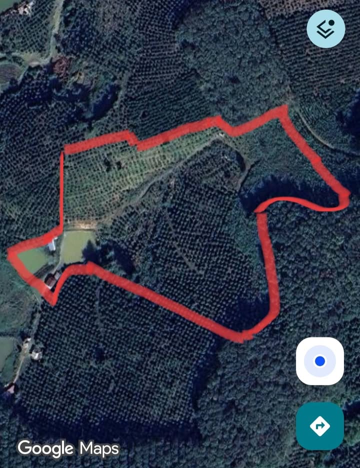 Bán đất vườn Kon Tum 2.2ha - 600 cây cà phê kinh doanh, sổ đỏ chính chủ