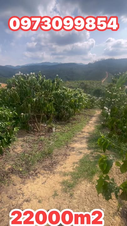 Đất Vườn Lâm Nung 8000m² - Sổ đỏ chính chủ, đầu tư dài hạn!