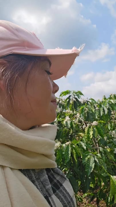 Đất nền 2ha Krông Nô - Sổ hồng sẵn, tiềm năng tăng giá!