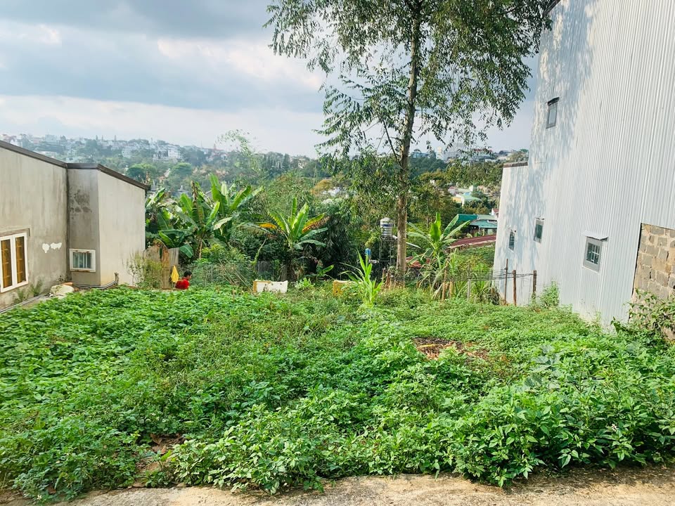 Đất nền Bảo Lộc 348m² giá 2.45 tỷ - Sổ đỏ chính chủ!