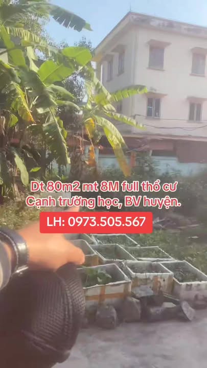 Đất nền Bạch Đằng, Hạ Long 75m² - Vị trí đắc địa, kinh doanh cực tốt!