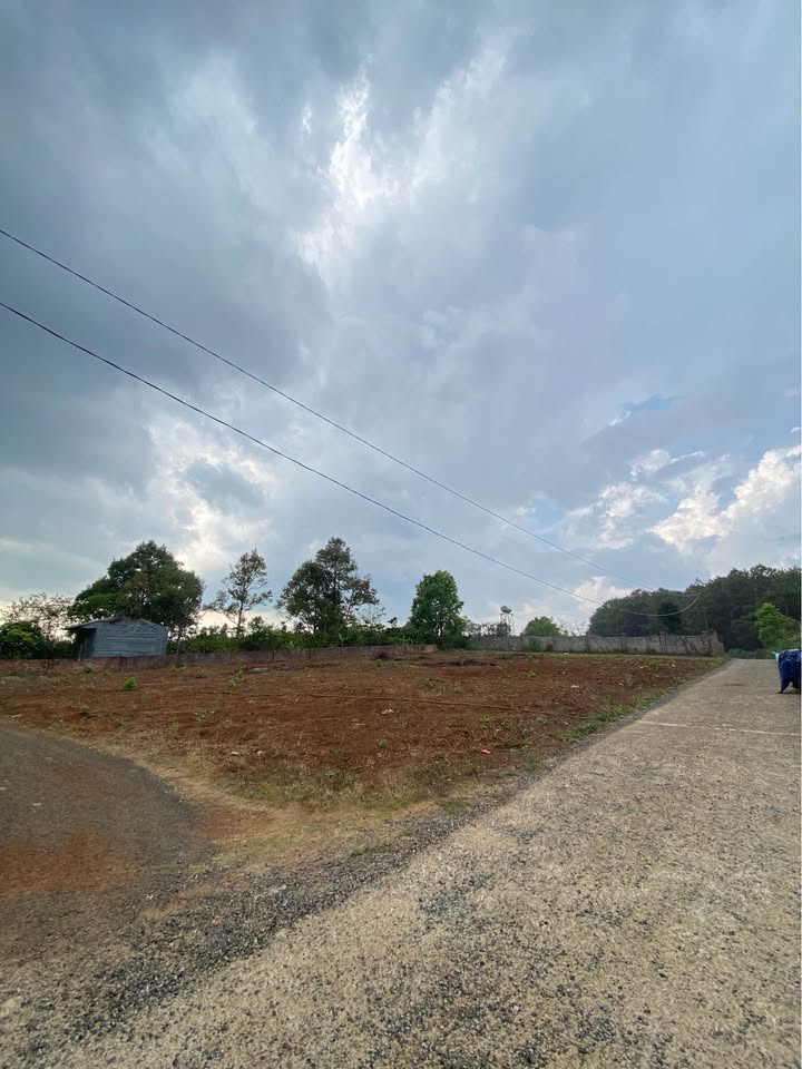 Đất Nền Tôn Đức Thắng Pleiku 105m² - Sổ Sẵn, Giá 1.25 Tỷ