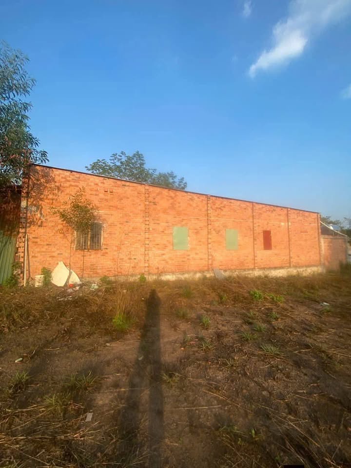 Nhà Riêng Hớn Quản, Bình Phước 250m² - Sẵn sàng ở ngay!