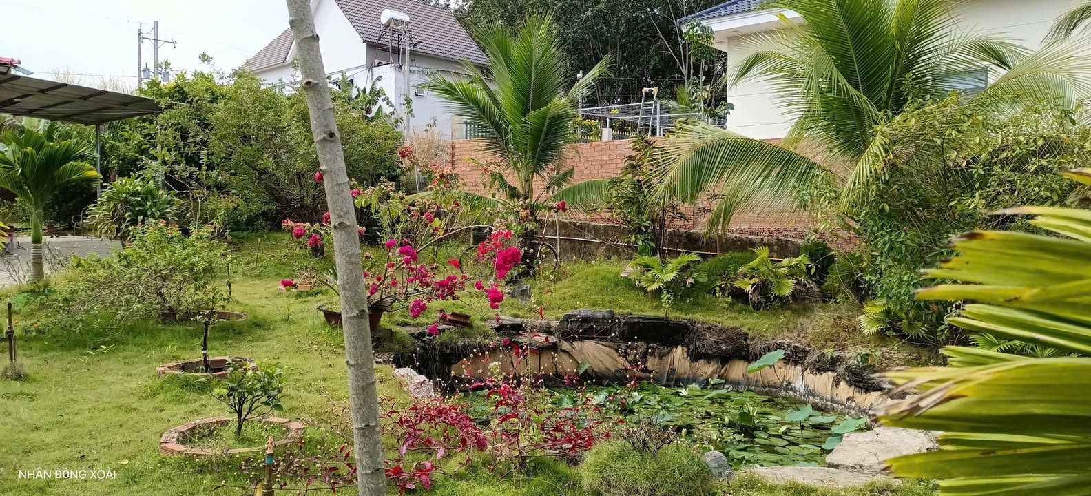 Nhà Vườn 1000m² Thổ Cư - Đồng Xoài, Bình Phước - Hướng Tây Giá Tốt