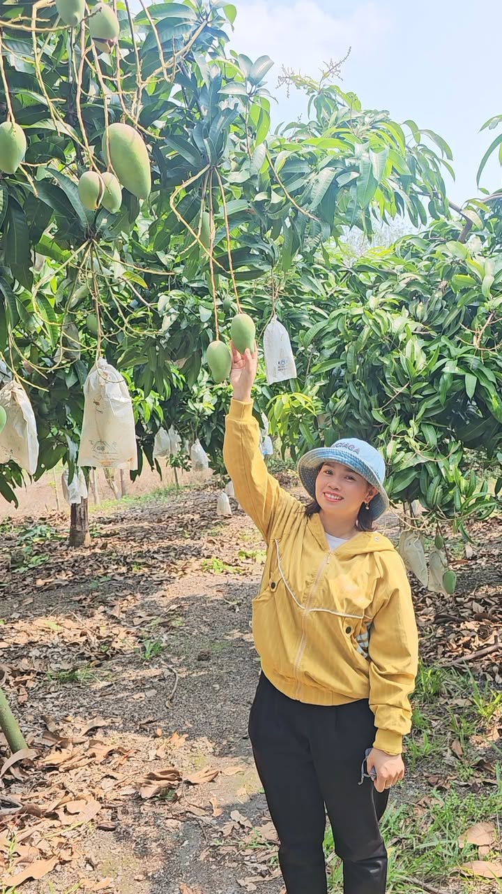 Đất nền Bù Đốp 200m² - Đất thổ cư 100%