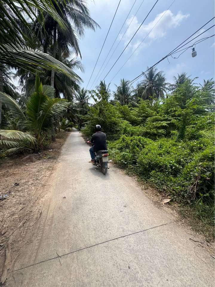 Đất nền Tân Phú Đông 165m² - Đất thổ cư 100%, sổ hồng sẵn!