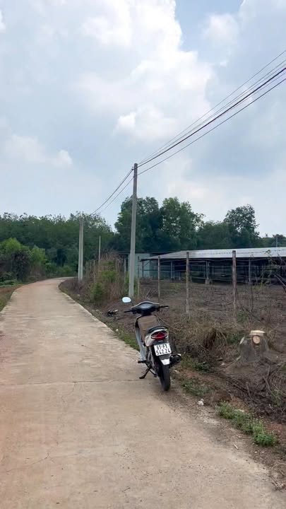 Đất Đồng Phú 175m² Tặng Nhà & Giếng Khoan - Sổ Sẵn 600 Triệu