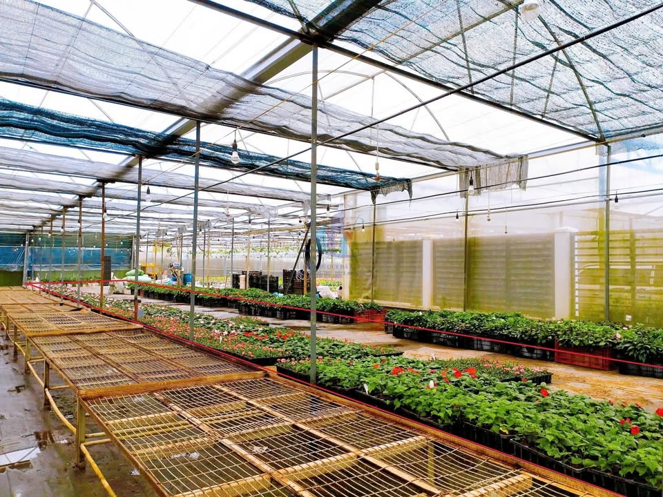 Đất Lữ Gia Đà Lạt 150m² 2.8 tỷ - Tiềm năng tăng giá cao