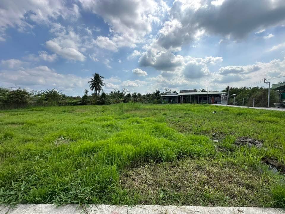 Bán Đất Thổ Cư 115m² Mặt Tiền Hẻm 3m, Tân An, Long An - Giá 610 Triệu