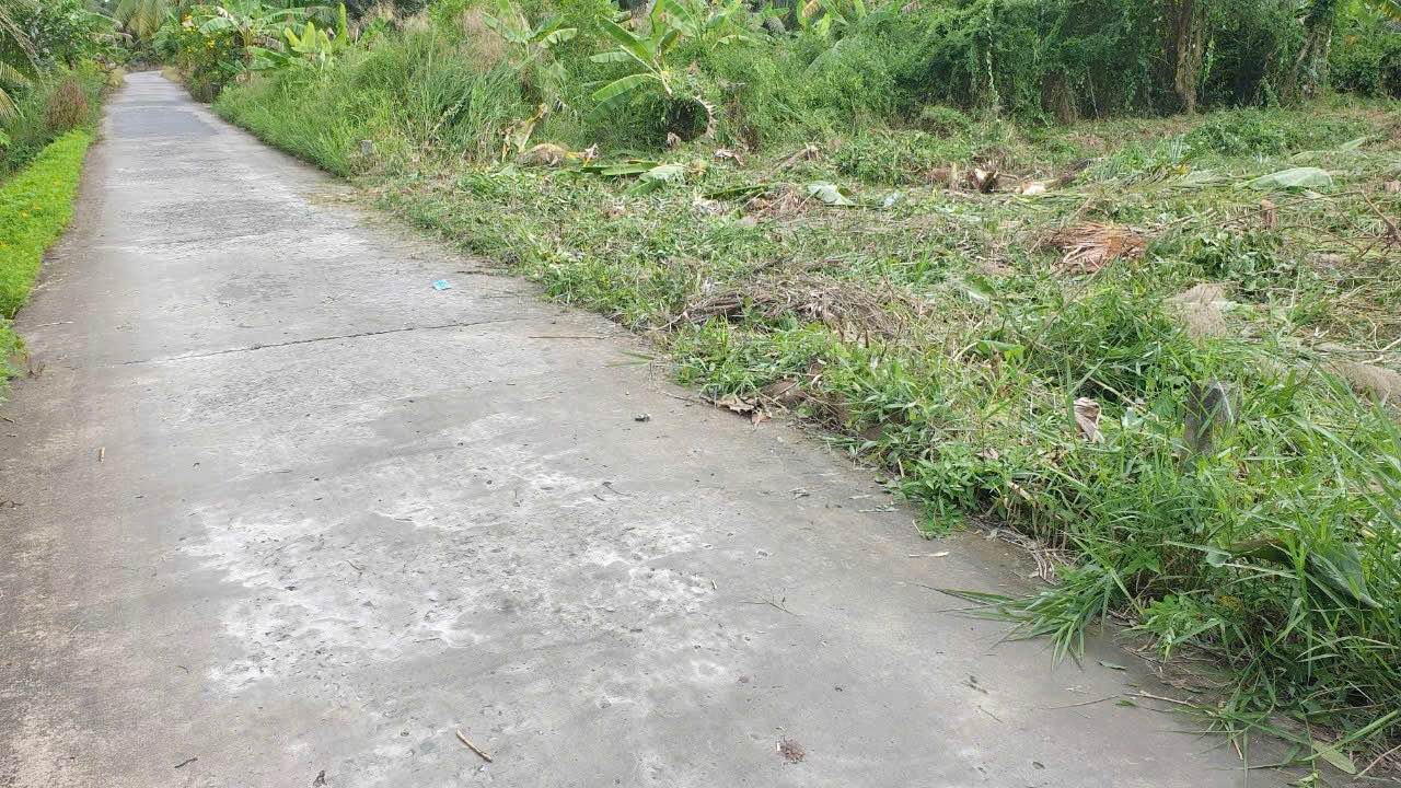 Đất nền Xã Long Hòa, Bình Đại 336m² giá 650 triệu - Sổ đỏ chính chủ!