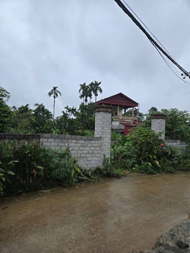 Bán Đất Yên Bài Ba Vì 481m² - 2 Ô Tô Tránh, Sổ Đỏ Riêng