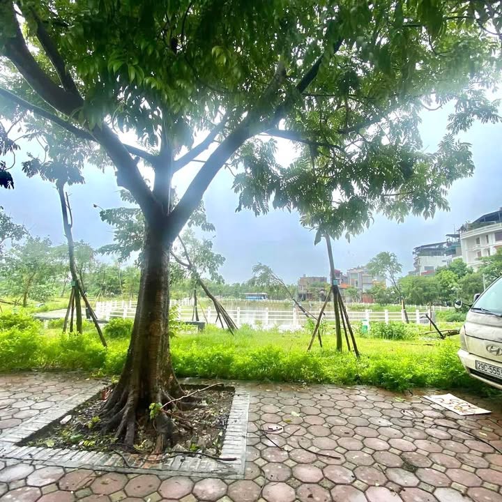 Đất nền Xóm Lò 65m² - Sổ đỏ chính chủ, giao dịch ngay!