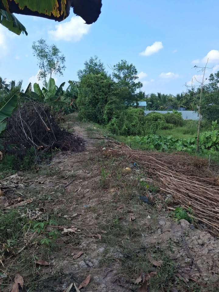 Bán Đất Vĩnh Long 108m² - Sổ Thổ Cư, Giá Tốt