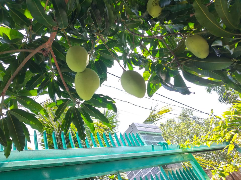 Nhà Xưởng Võ Nguyên Giáp, Vũng Tàu 209m² - Mặt tiền kinh doanh đắc địa!