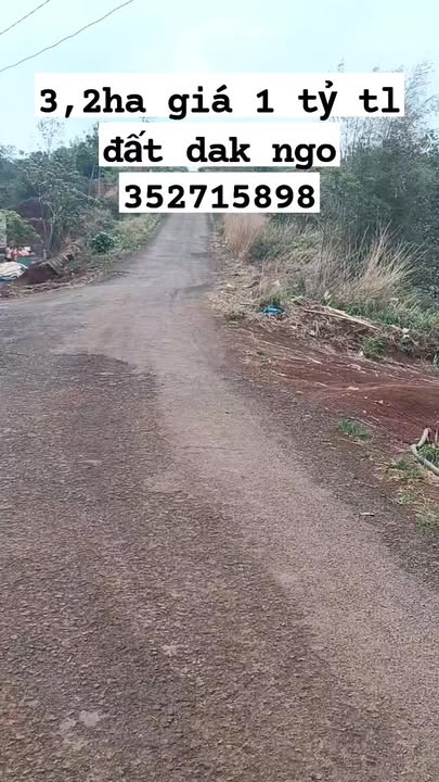 Đất Xã Hòa Bình, Xuyên Mộc 3.2ha - Sổ đỏ chính chủ