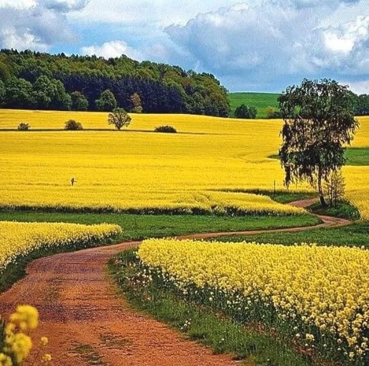 Bán đất view sông 10000m² xã Tân Lâm, Xuyên Mộc - Sẵn sàng đón đầu tiềm năng