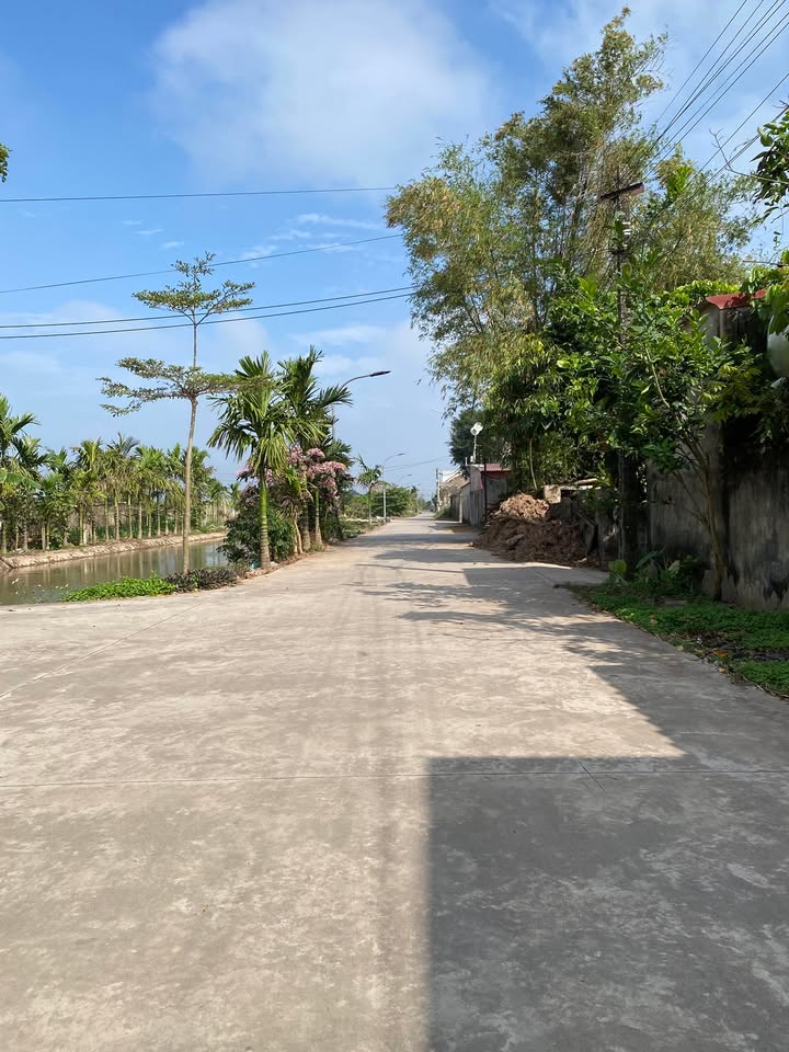 Đất nền Thị trấn Nho Quan 198m² giá 1.98 tỷ - Sổ đỏ chính chủ