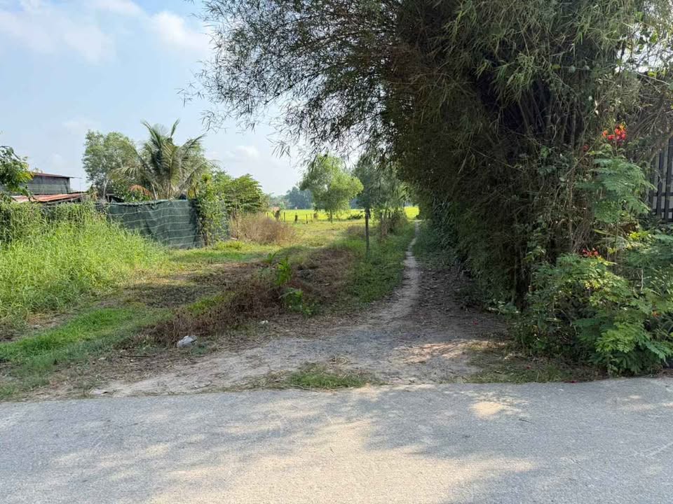 Đất nền Củ Chi 348m² - Sổ đỏ chính chủ, Xây dựng tự do!