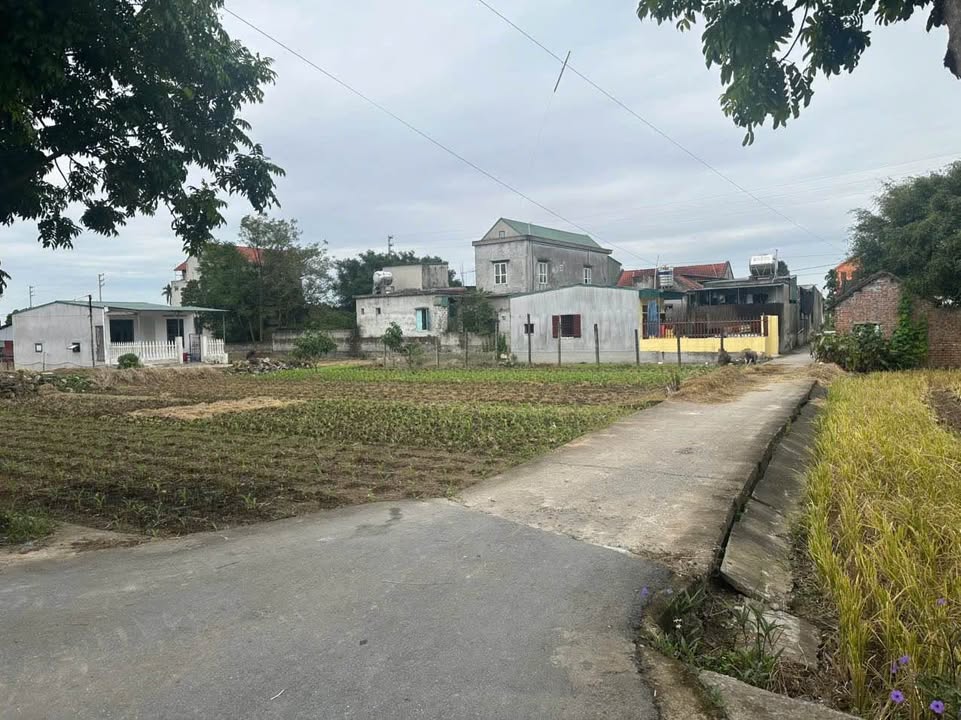 Đất nền Yên Khánh 132m² - Sổ đỏ chính chủ, đường 7m ô tô vào tận nơi!