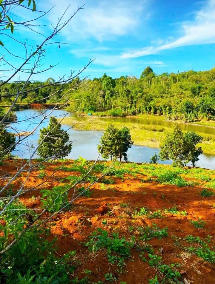 Bán 3 Sào Đất Mặt Tiền Bê Tông - Nghĩa Trung, Gia Nghĩa - 850 Triệu