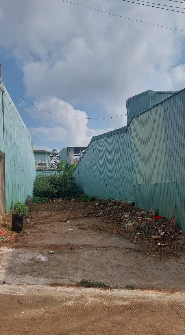 Đất nền Phù Đổng Pleiku 100m² - Đường to ô tô