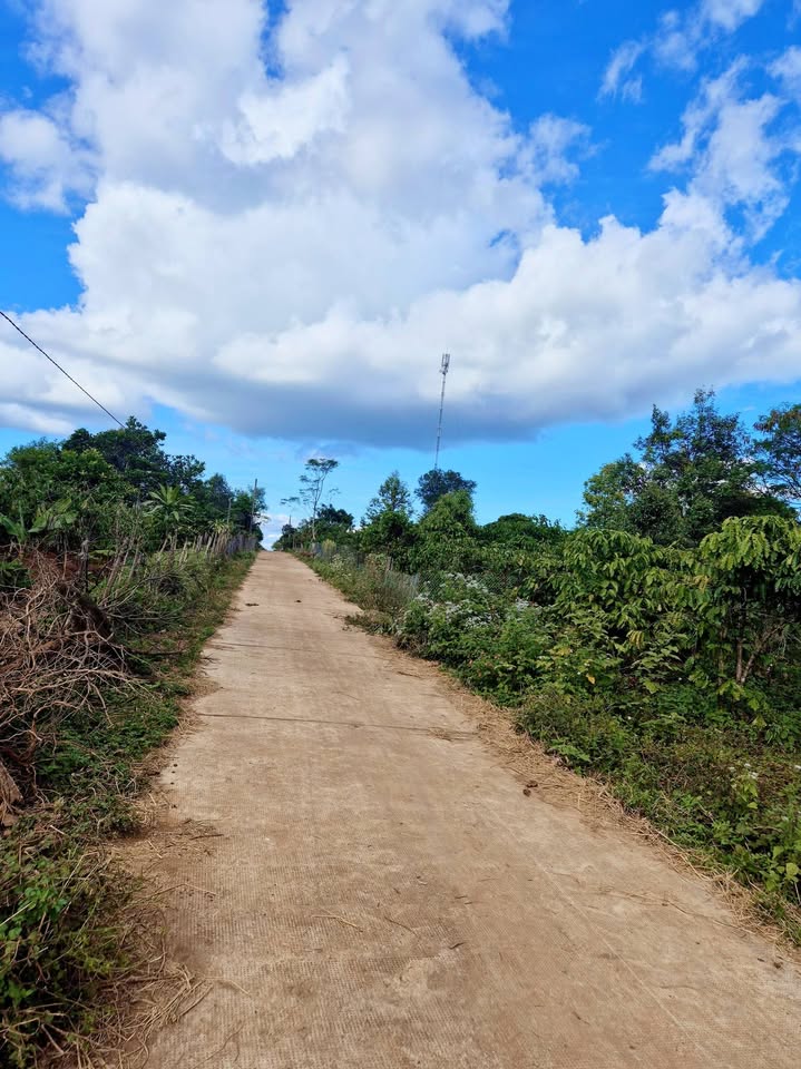 Đất nền Ia Grai 1395m² giá 7xx triệu - Sổ đỏ chính chủ