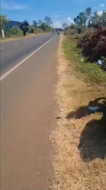 Đất Nông Nghiệp Ia Grai 10.000m² giá 6.2 tỷ - Đầu tư dài hạn!