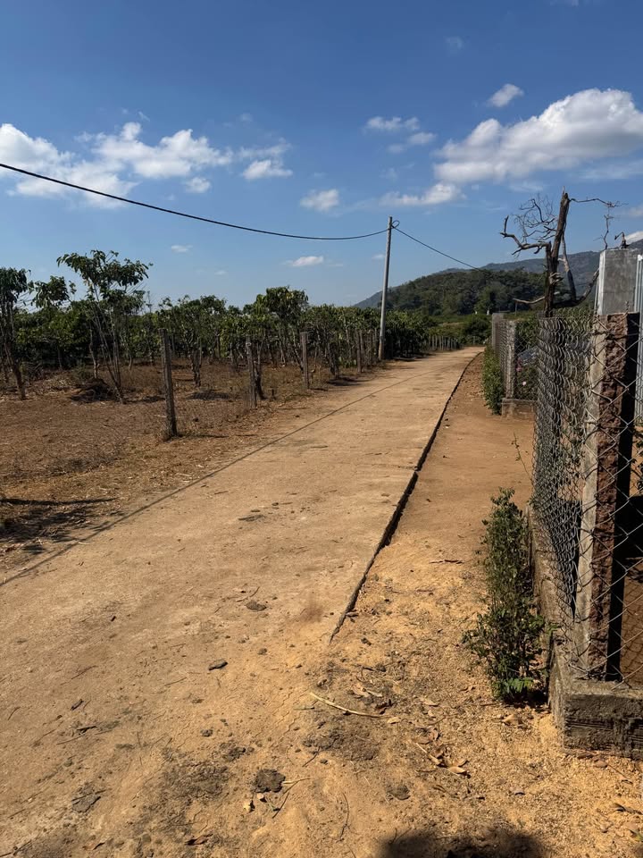 Bán đất 405m² Xã Chư Đăng Ya, Gia Lai - Sổ đỏ thổ cư, đường bê tông