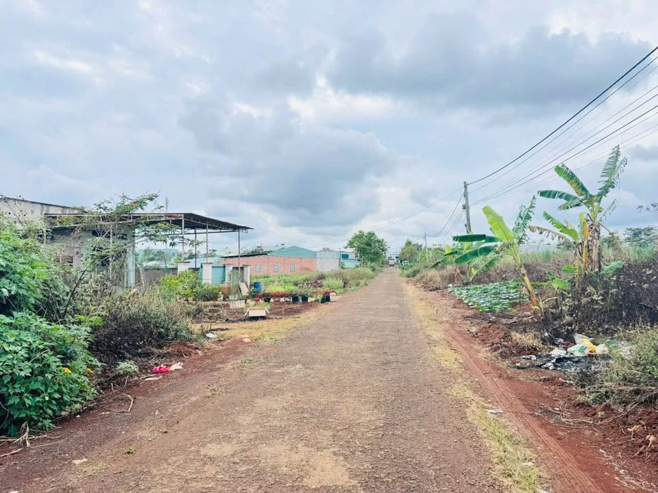 Bán Đất Lô Đẹp Phường Quyết Tiến, Pleiku - 1.1 Tỷ, 287m²