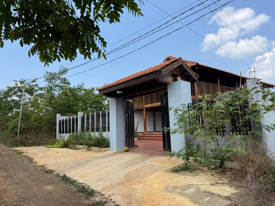 Nhà Gỗ Hẻm Lê Chân, Pleiku - 360m² Giá 1.8 Tỷ, Sẵn Sàng An Cư Lập Nghiệp