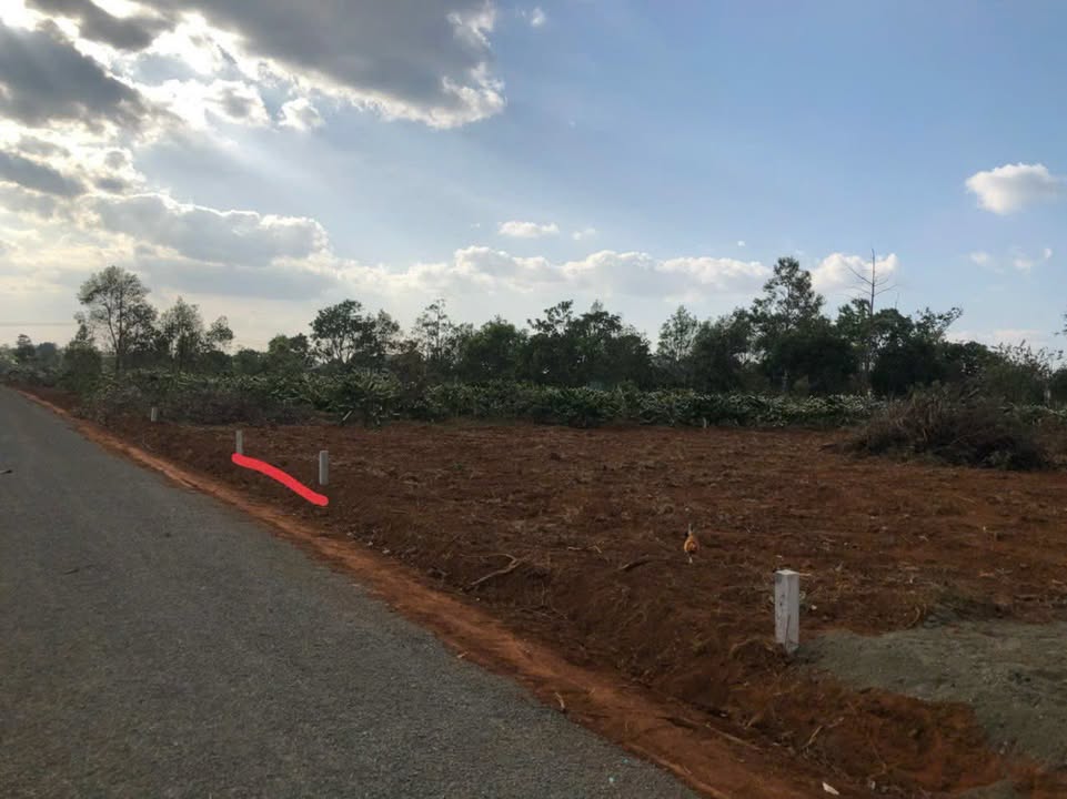 Đất nền Ia Dêr, Gia Lai 115m² - Sổ đỏ thổ cư, bán gấp!