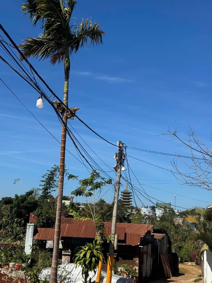 Đất nền Nguyễn Văn Linh, Pleiku 230m² - Sổ đỏ chính chủ