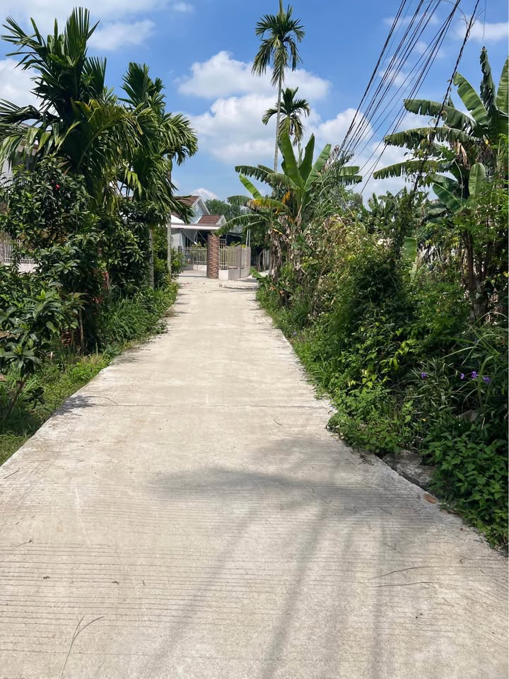 Đất nền Tịnh Ấn Tây 124m² Sát Võ Nguyên Giáp – Tiềm năng tăng giá!