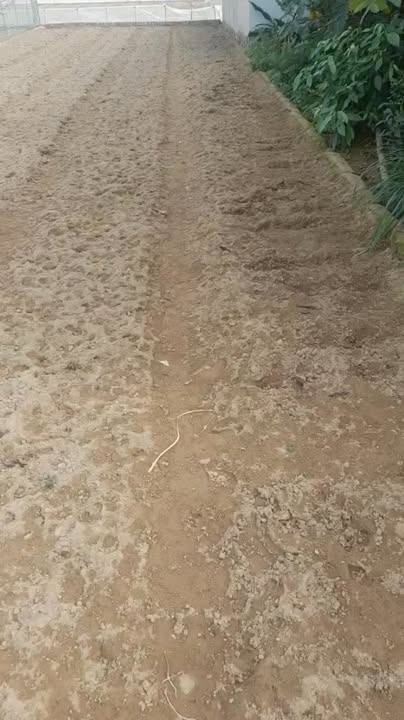 Đất nền Giao Phong, Giao Thủy 101m² - Tiềm năng tăng giá vượt trội!