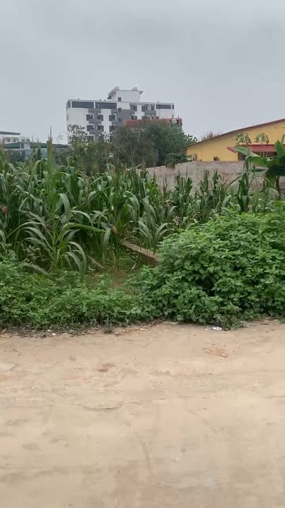 Cho thuê phòng trọ 84.2m² tại Thạch Thất - Vị trí kinh doanh đắc địa