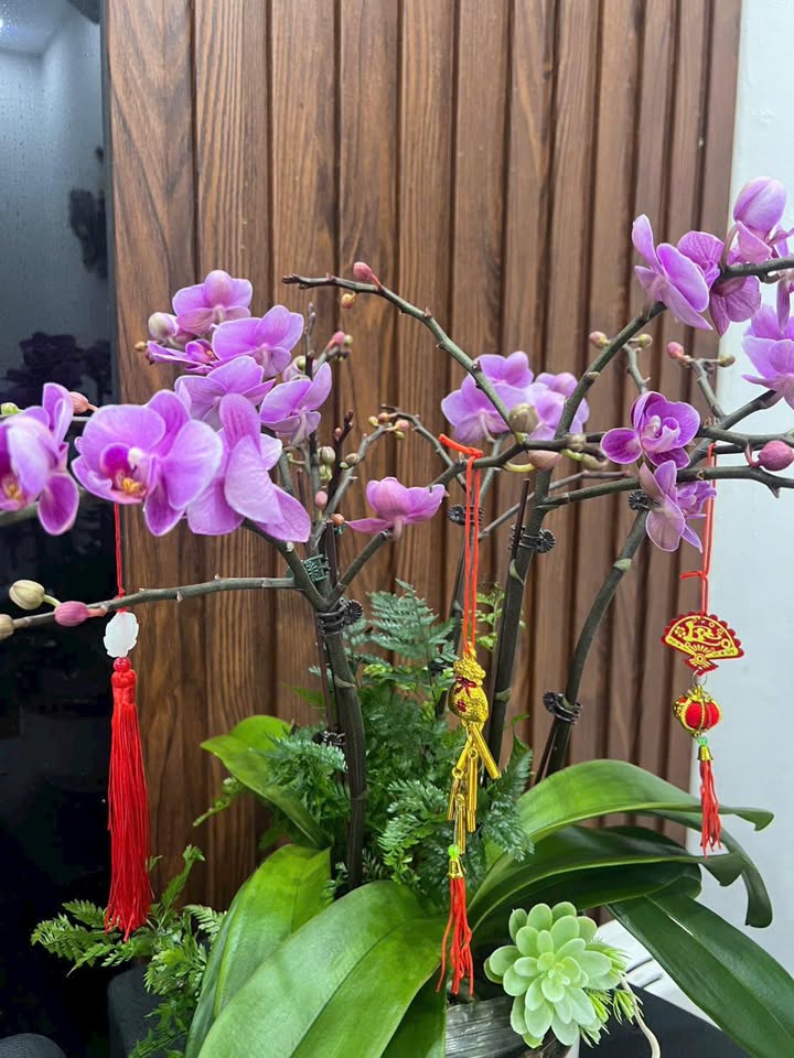 Nhà Minh Khai Hoài Đức 40m² giá 7.x tỷ - Full nội thất!