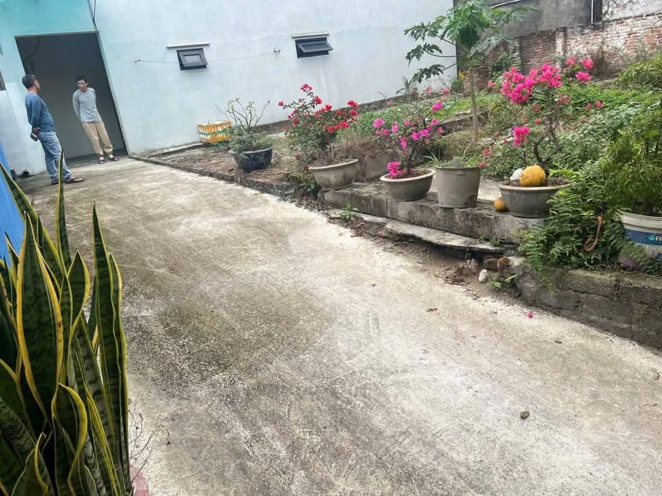 Đất nền Phúc Tiến, Phú Xuyên 63.6m² - Sổ đỏ, ô tô đỗ cửa