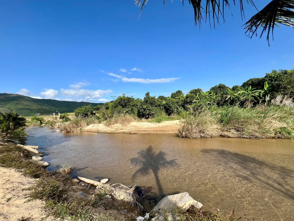 Đất Farmstay Ninh Hoà 7000m² - Giá 2.6 Tỷ, Sẵn Sàng Khai Thác