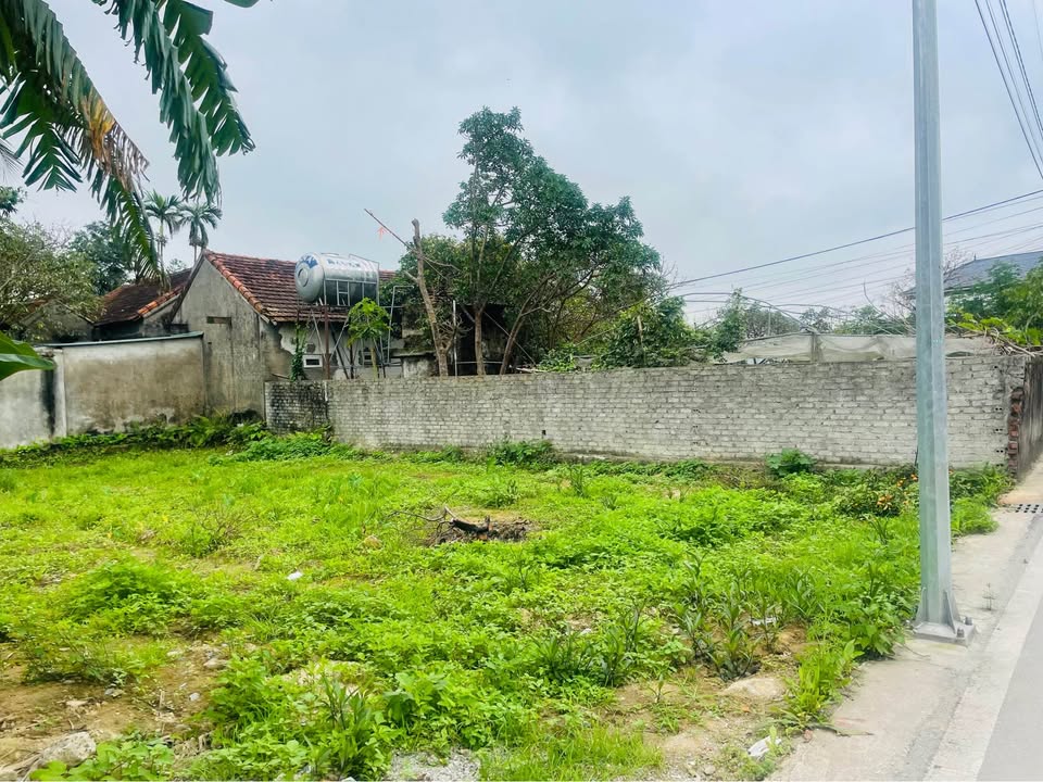 Đất nền Nguyễn Trường Tộ, TP Vinh 130m² - Sổ đỏ chính chủ!