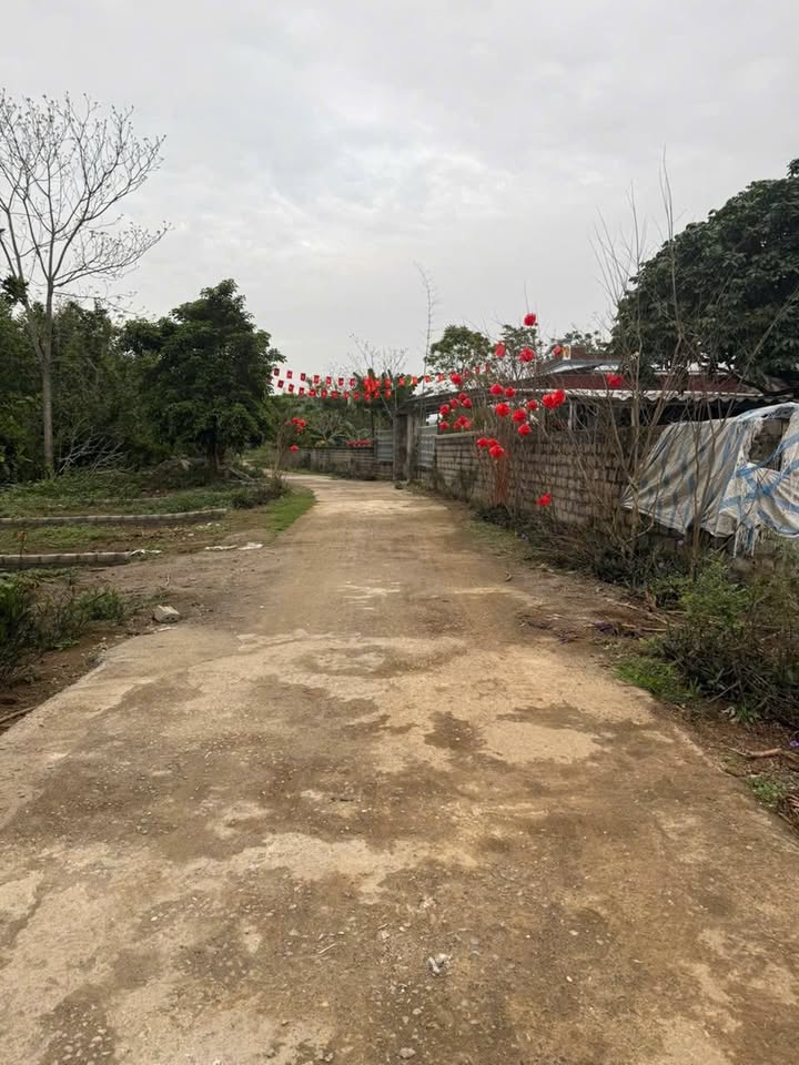 Đất nền Xã Đoàn Kết, Yên Thủy, Hòa Bình 187m² - Sổ đỏ chính chủ!