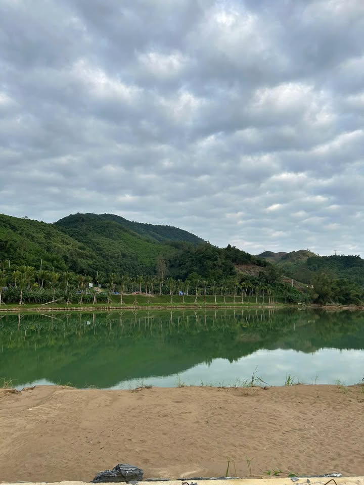 Đất nền Hòa Vang Đà Nẵng 4672m² - Sổ đỏ chính chủ, mặt tiền ĐT601